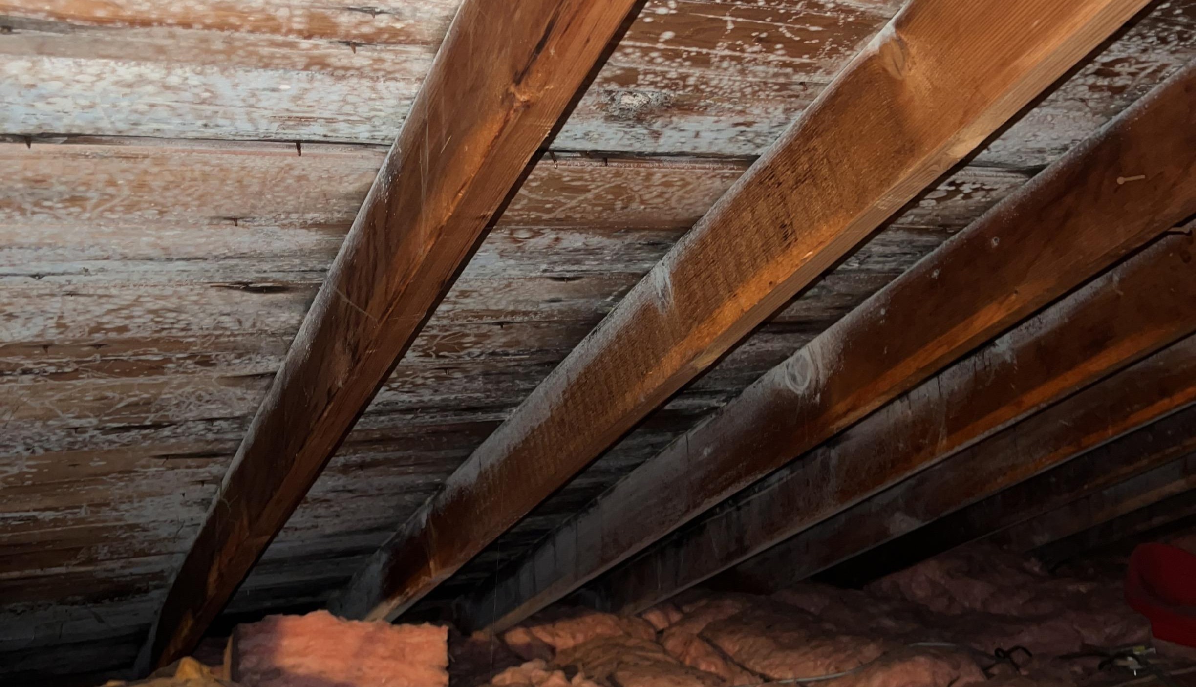 Mold Prevention Maintenance Tips