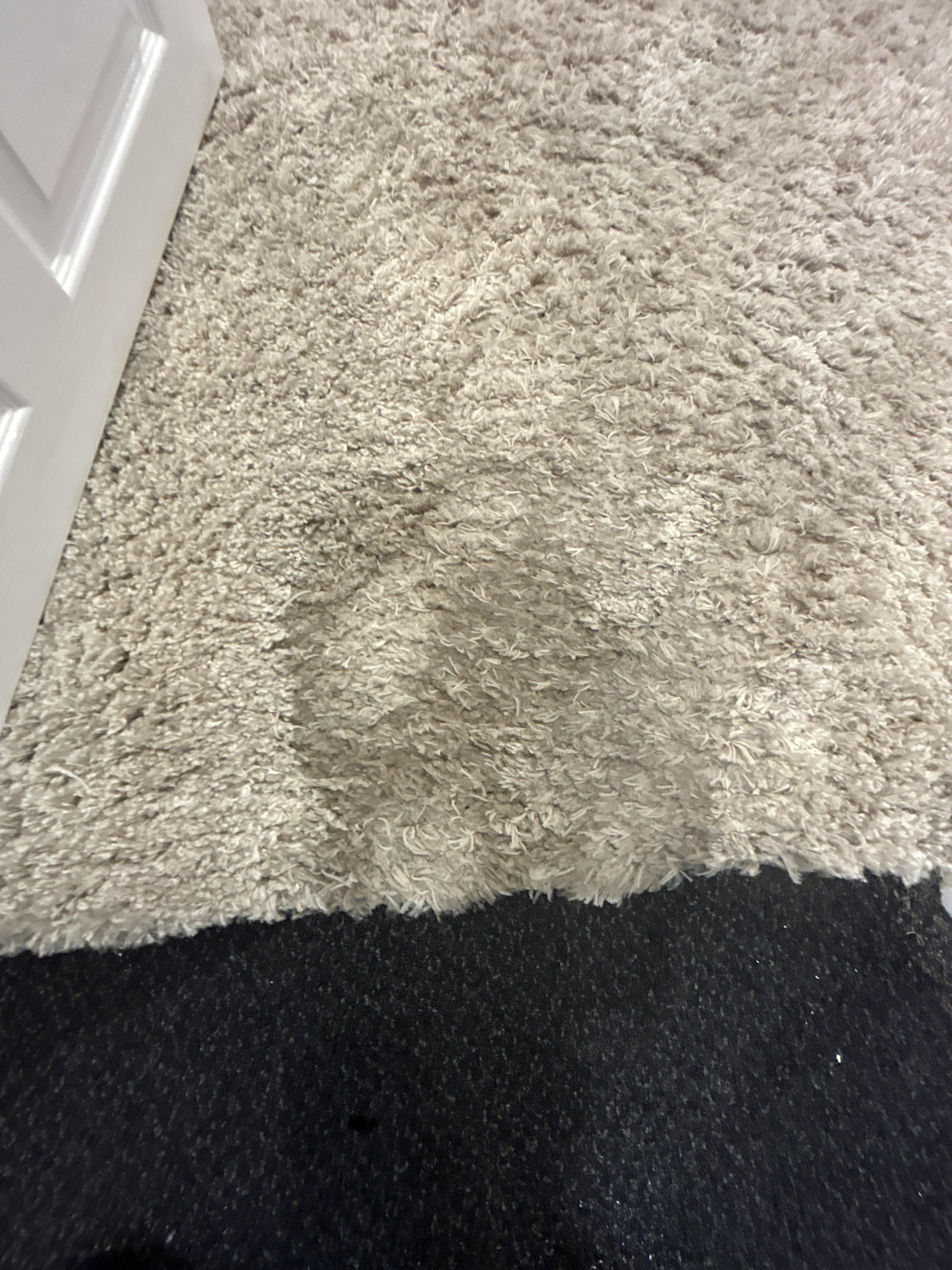 Wet Carpet in Basement