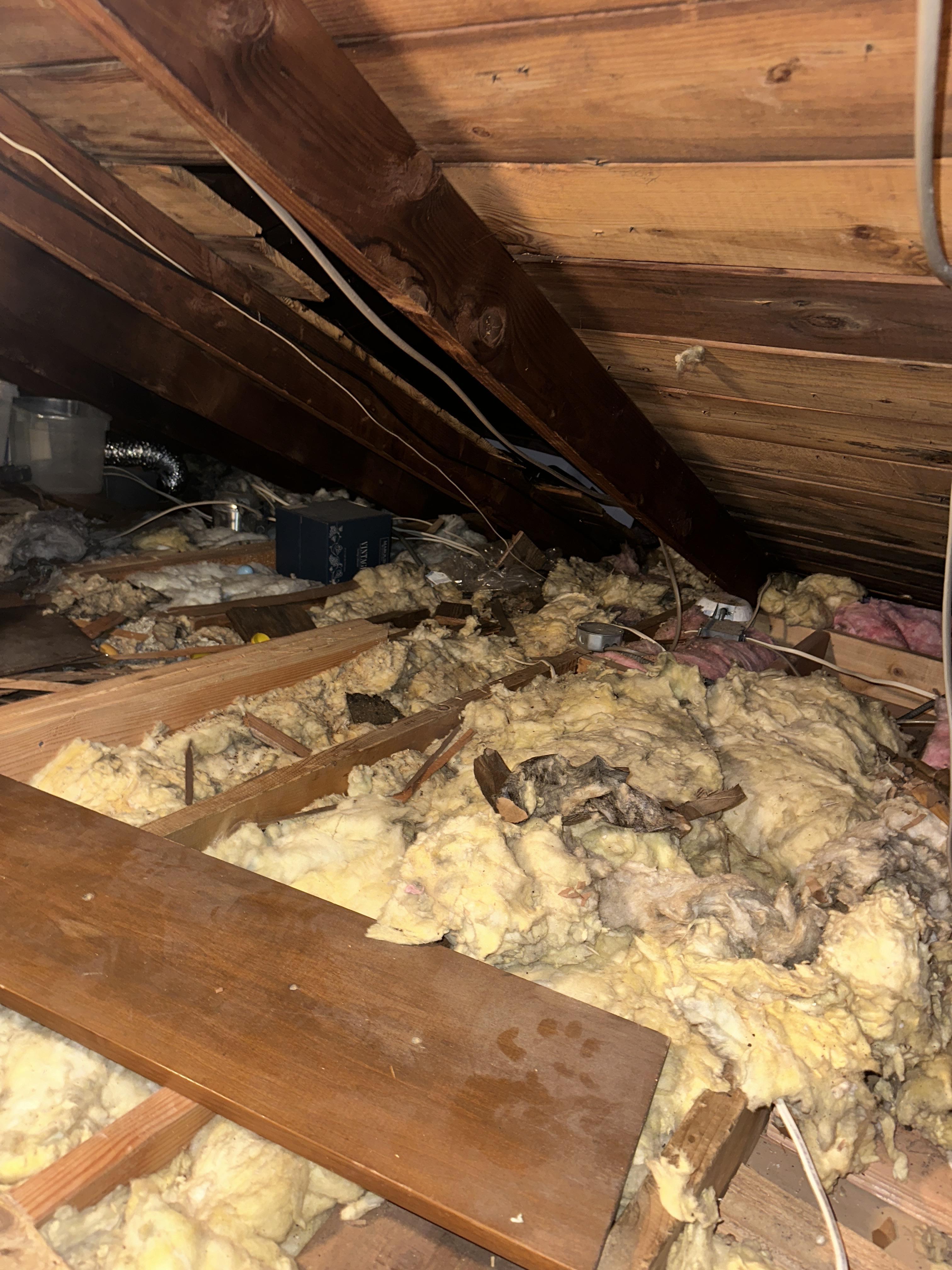 attic leak