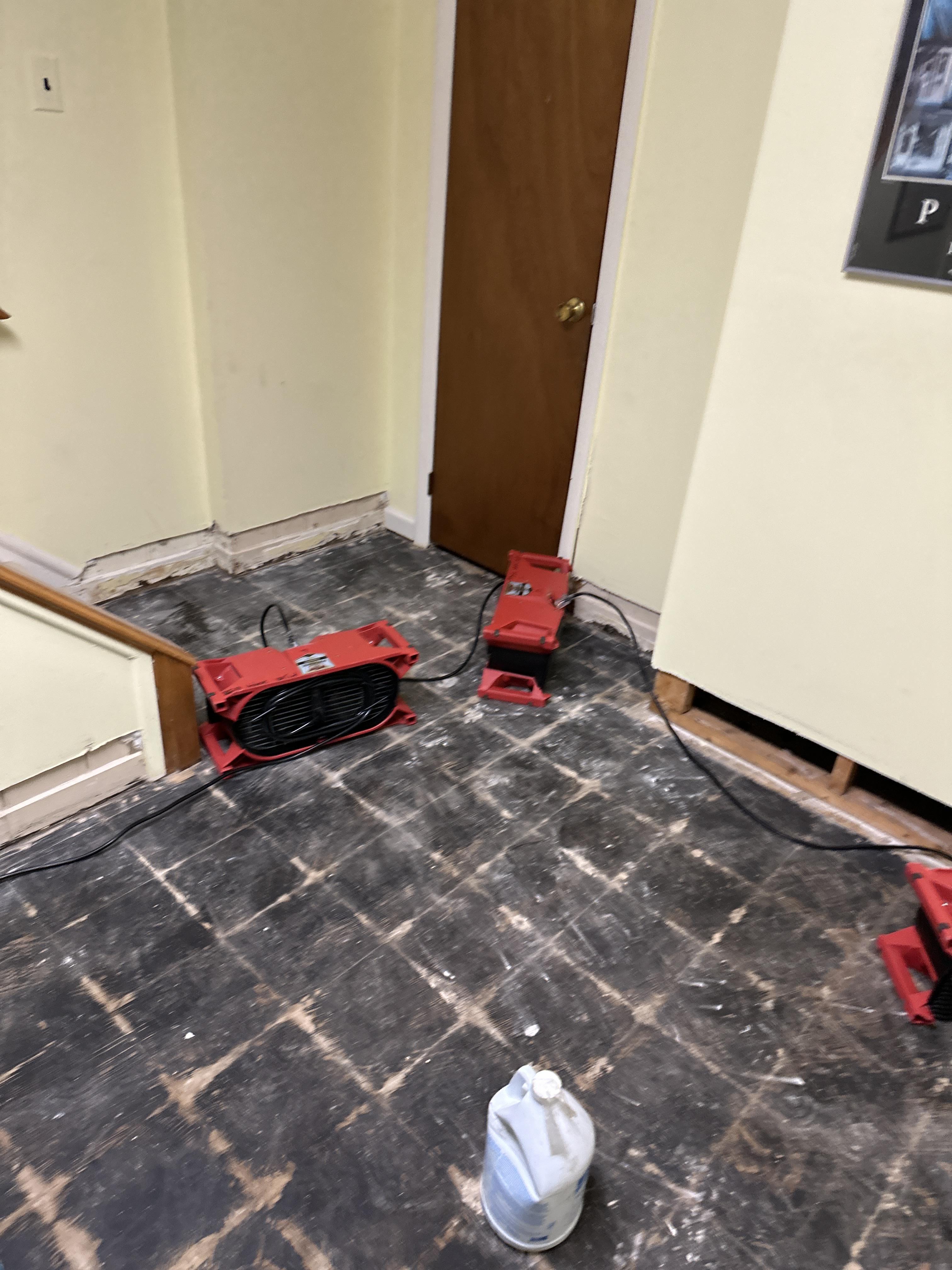 Elissa H. - Kinnelon, NJ - Water Damage