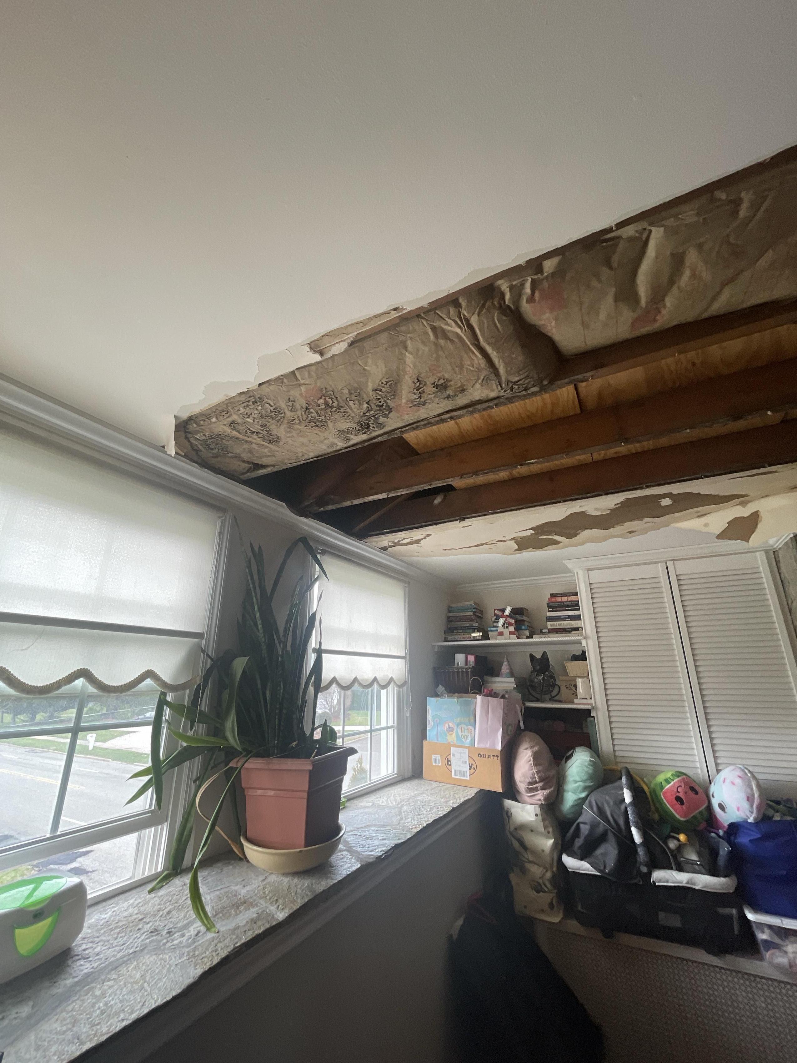 Ella C. - Tewksbury, NJ - Water Damage