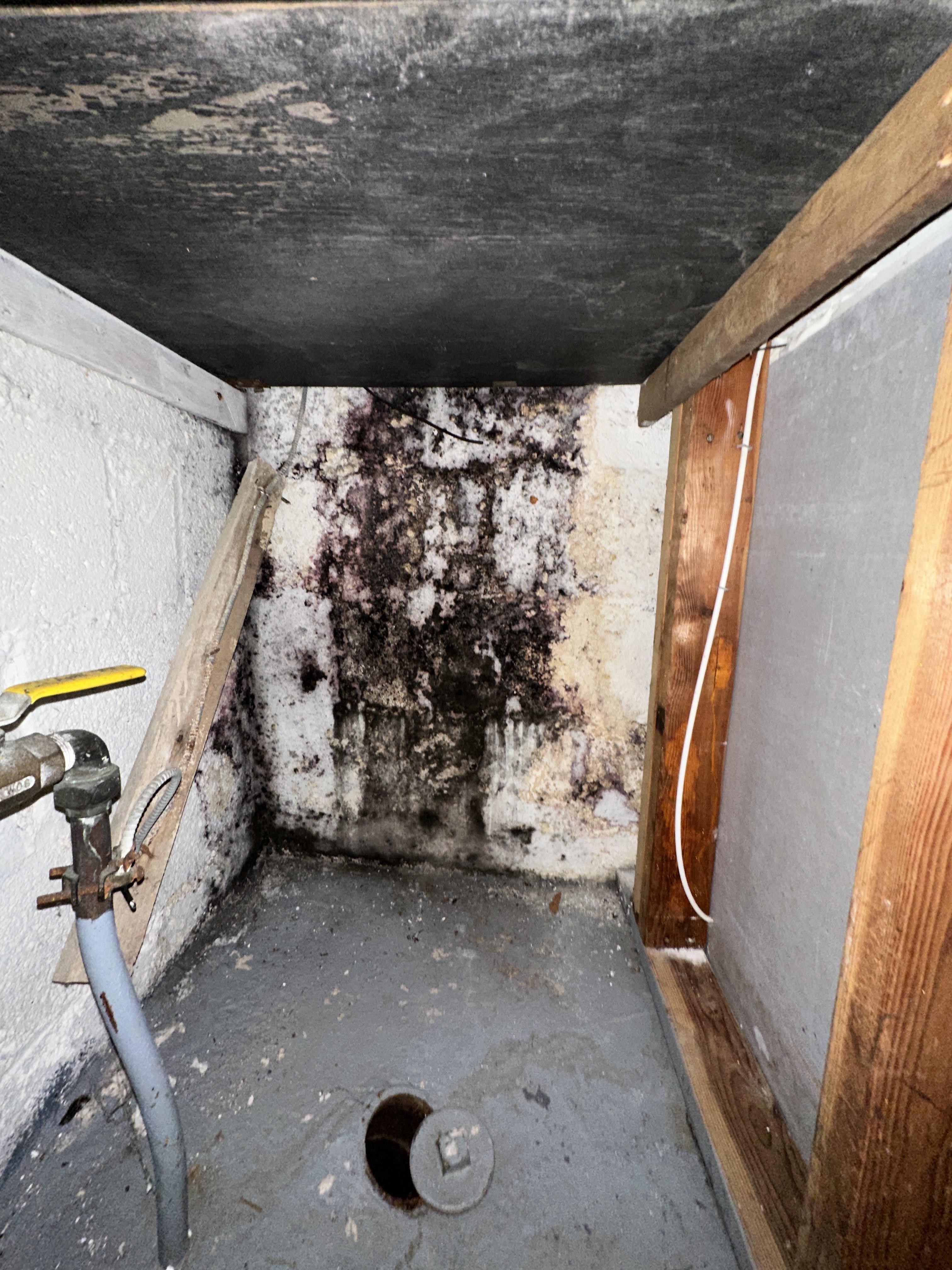 Wilfed C. - East Rutherford, NJ - Water Damage