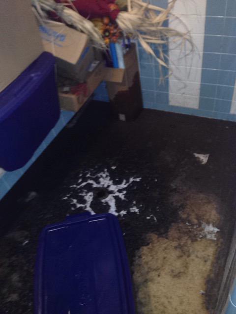 Lisa R. - Denville, NJ - Water Damage