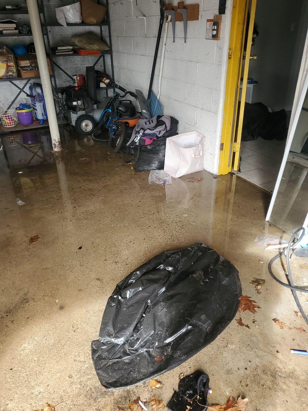 Allan M. - Verona, NJ - Water Damage