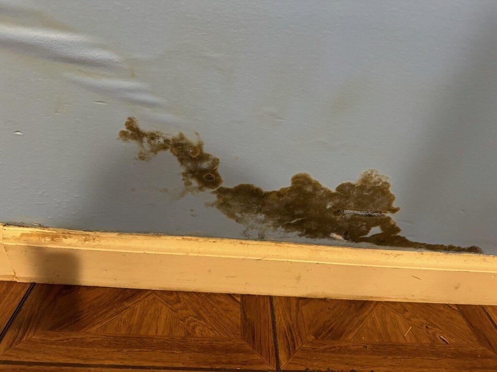 Paul K. - Stanhope, NJ - Mold Damage