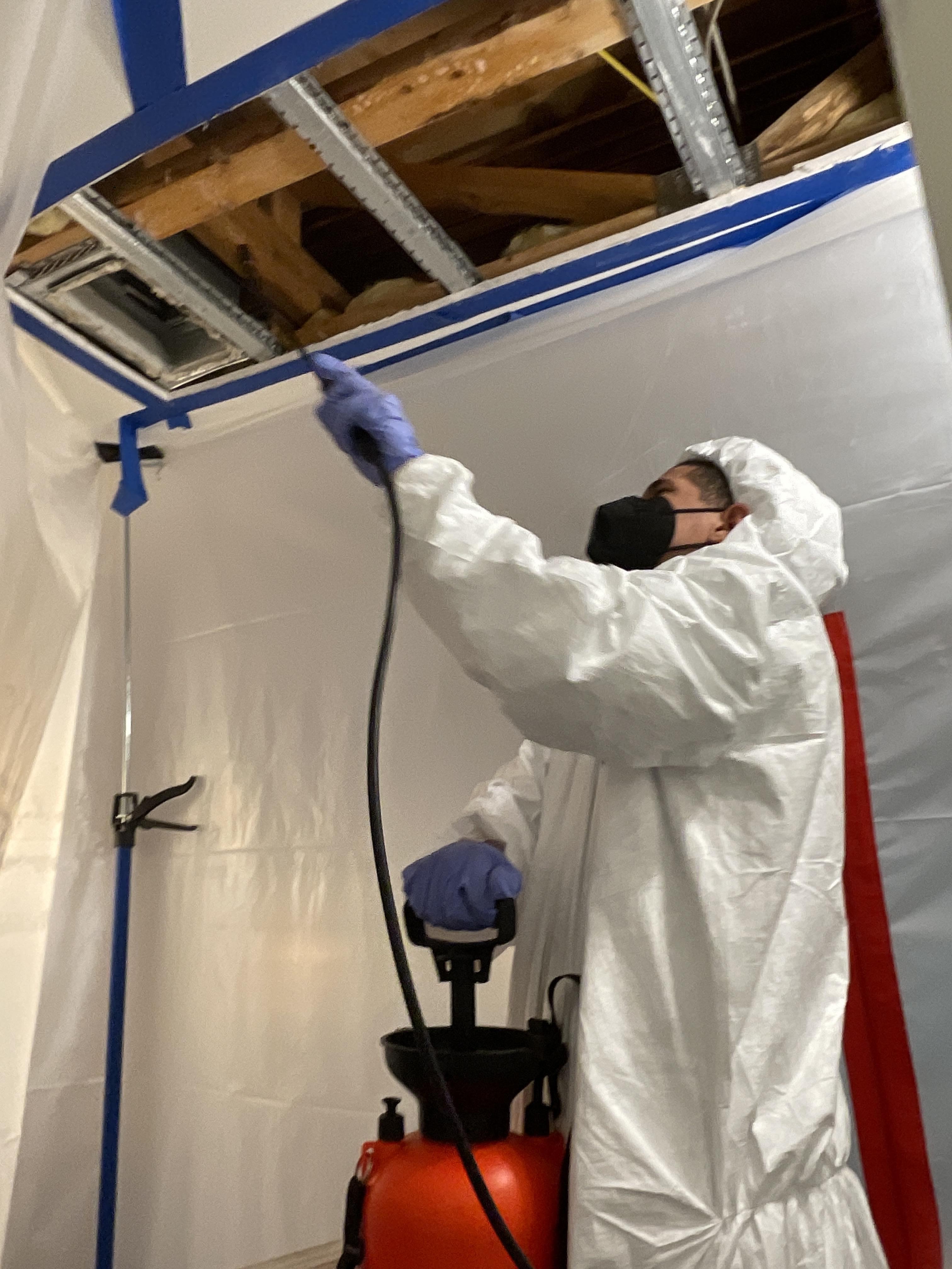 mold treatment