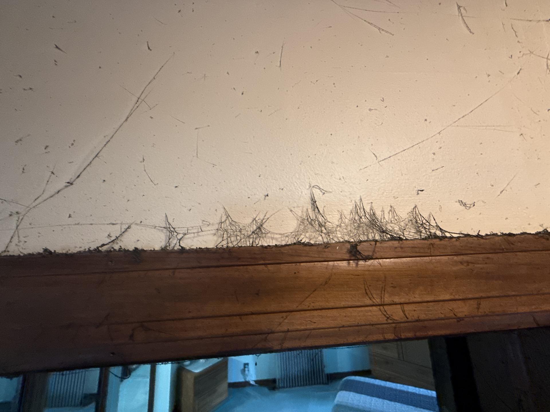 Does Homeowners Insurance Cover Fire Damage?